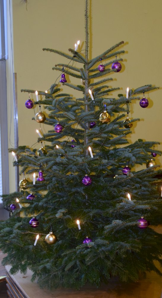 Weihnachtsbaum